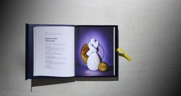 STONED PACKAGE SET: BOOK + HOODIE + HAT - Image 6